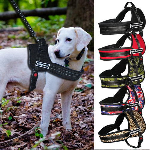 Best No Pull Dog Harness Multipurpose