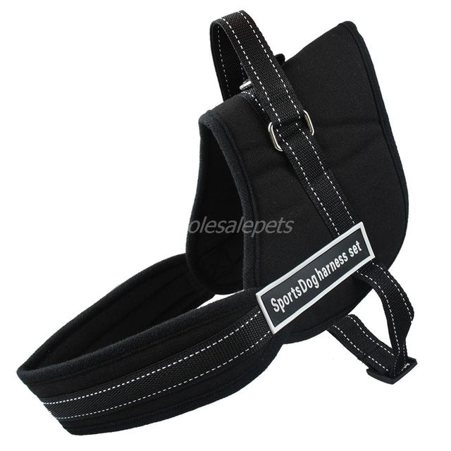 Best No Pull Dog Harness Multipurpose