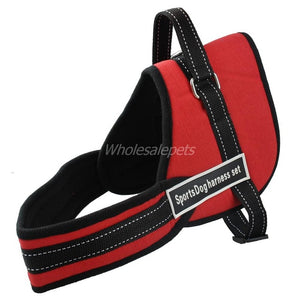 Best No Pull Dog Harness Multipurpose