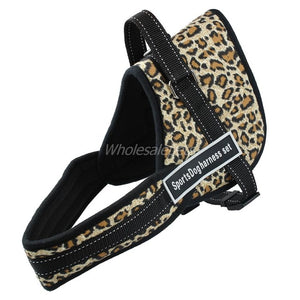 Best No Pull Dog Harness Multipurpose